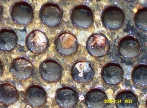 Трубная решетка конденсатора пара, заросшего моллюсками
